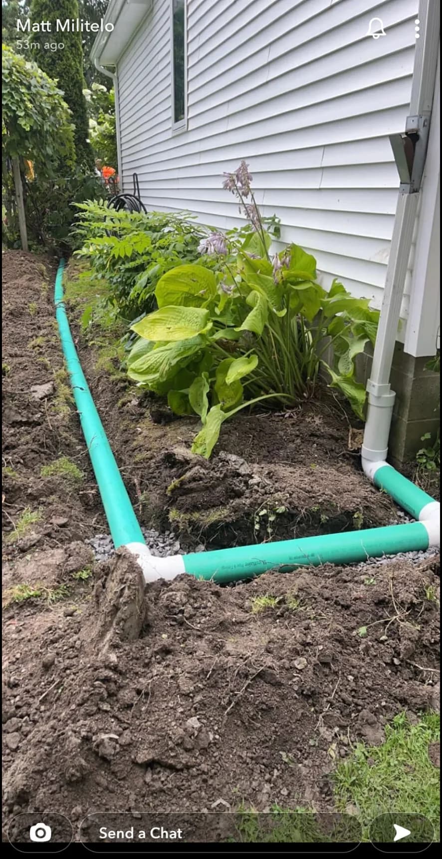 Cyan PVC along Buffalo foundation in downspout trench with hosta garden