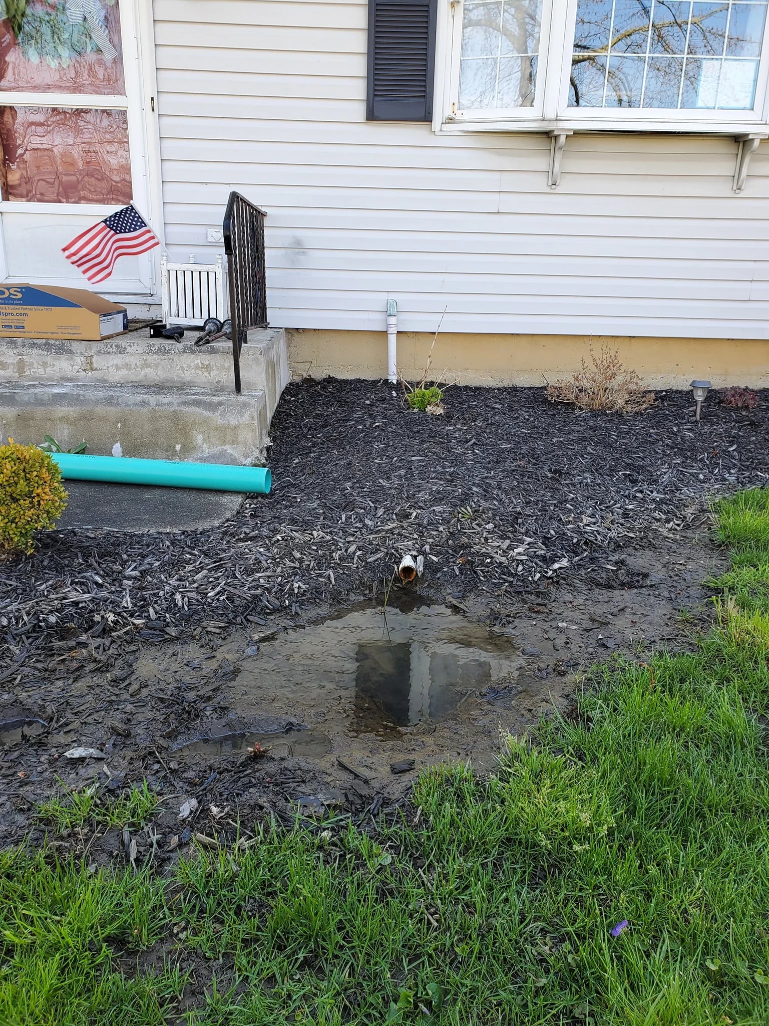 Standing water by WNY foundation with exposed pipe and cyan PVC staged
