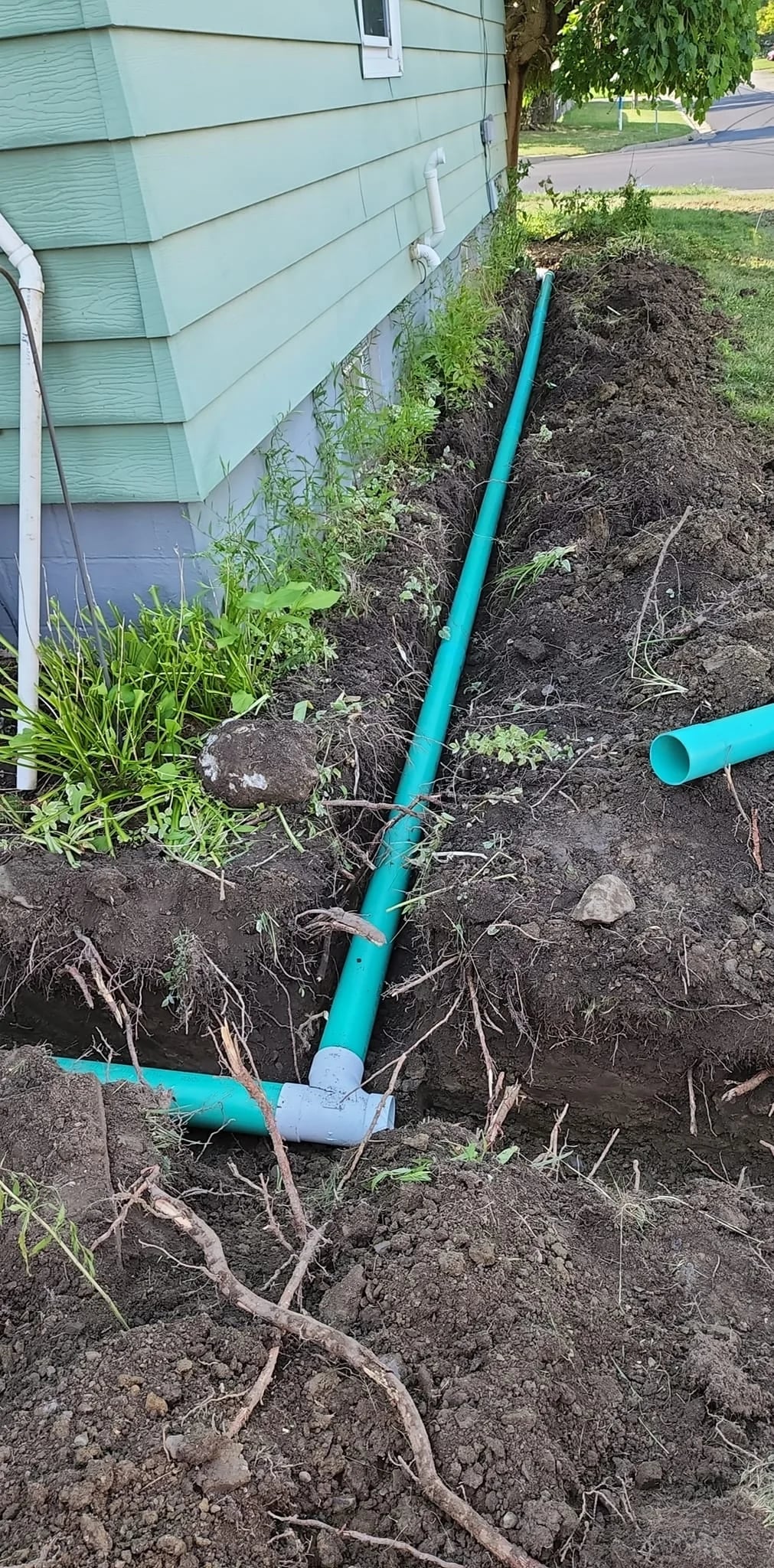 Green PVC pipes with elbows and tees in narrow house trench showing exposed roots