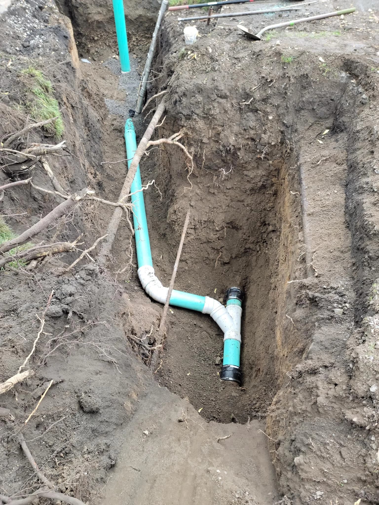 Deep Buffalo trench showing PVC wye fitting and exposed tree roots